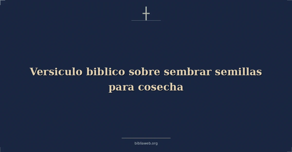 Versículos Bíblicos sobre sembrar semillas para cosecha